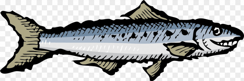 Sea Maid Fish Seasoning Mackerel Sardines Portuguese Cuisine Clip Art PNG