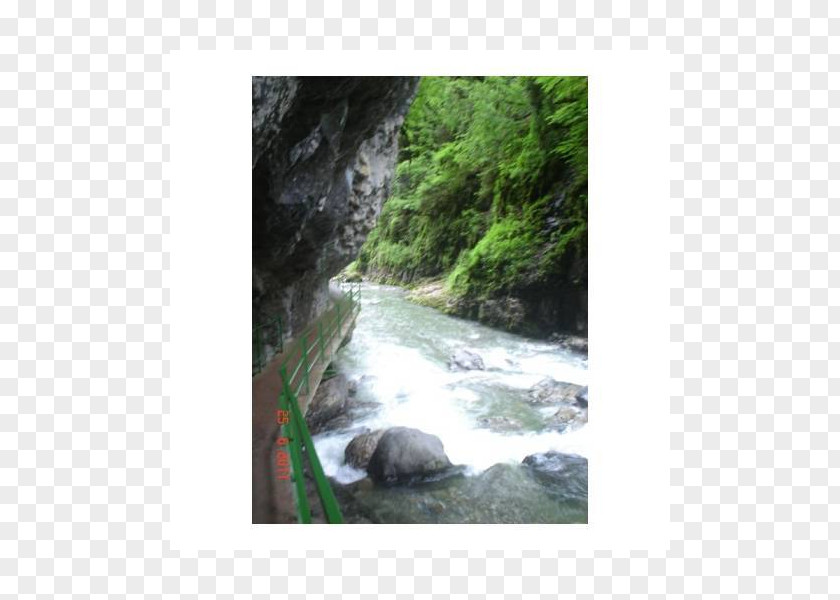 Water Resources Nature Reserve Waterfall Rainforest PNG