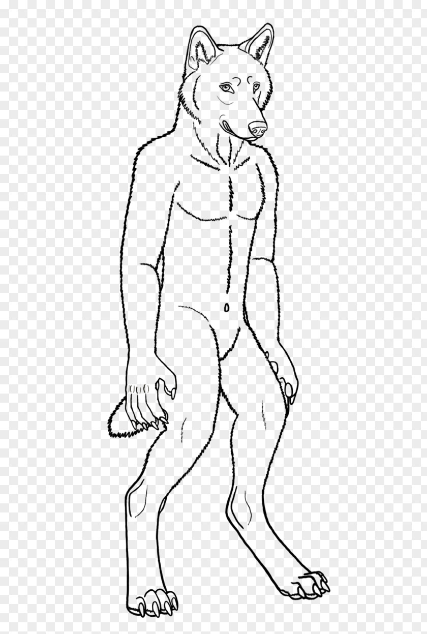 Werewolf Line Art Drawing Gray Wolf PNG