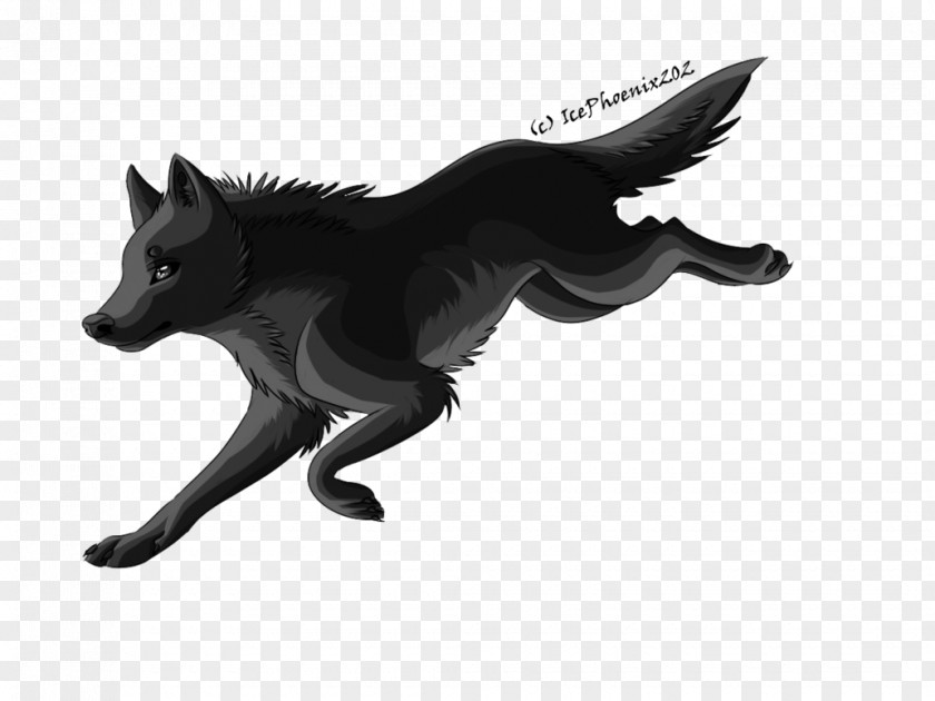 Black Wolf Dog Red Fox Canidae PNG