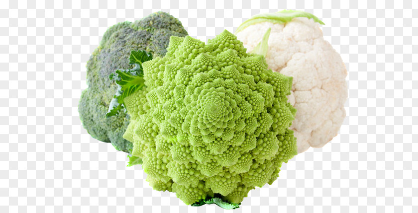 Cauliflower Broccoli Chou Capitata Group Vegetable PNG