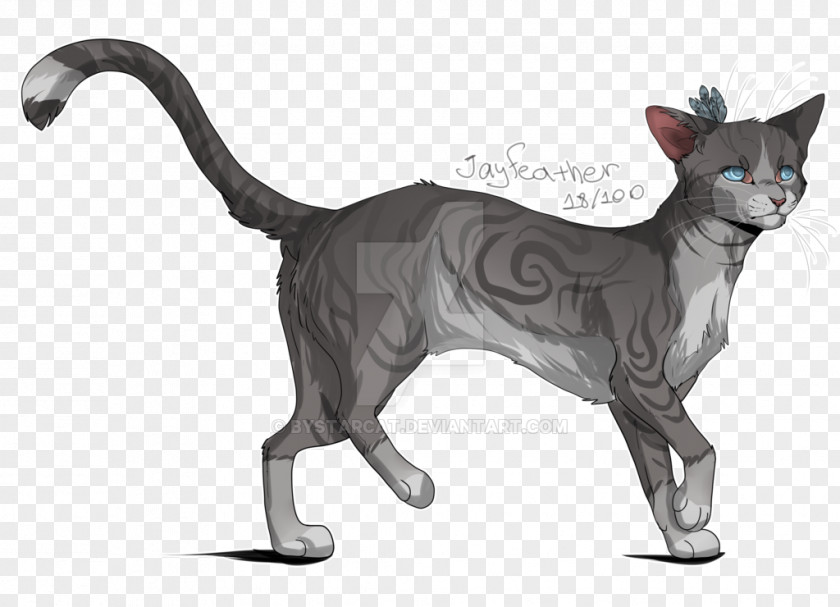 Oriental Shorthair Domestic Short-haired Cat Devon Rex Whiskers Warriors PNG
