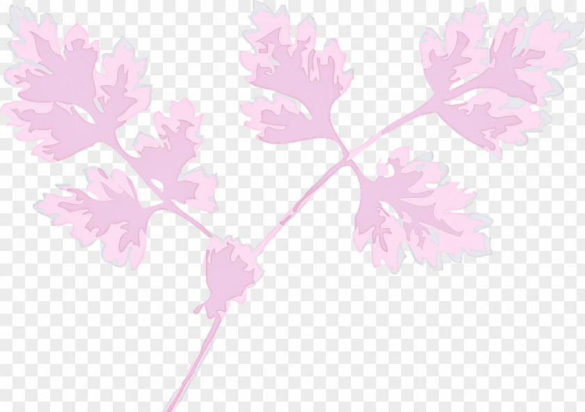 Pink Flower Leaf Plant Branch PNG