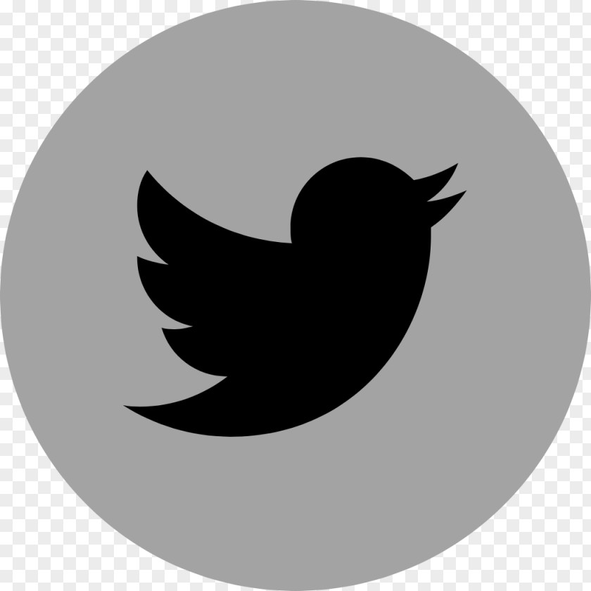 Twitter Logo Brand Social Media Marketing Corporate Identity PNG