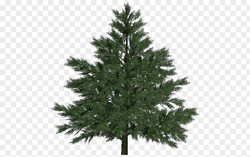 Christmas Tree Artificial Pre-lit Balsam Hill PNG