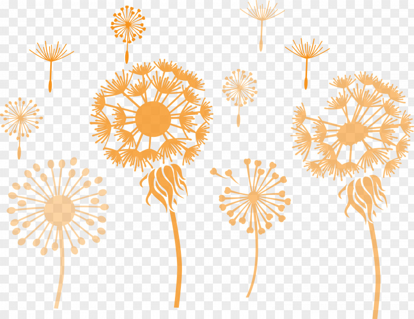 Dandelion PNG