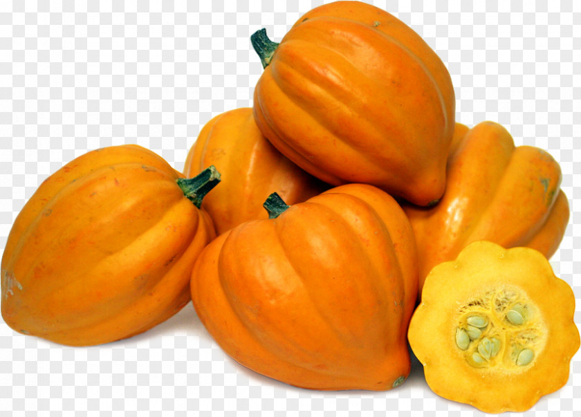 Pumpkin Winter Squash Gourd Acorn PNG