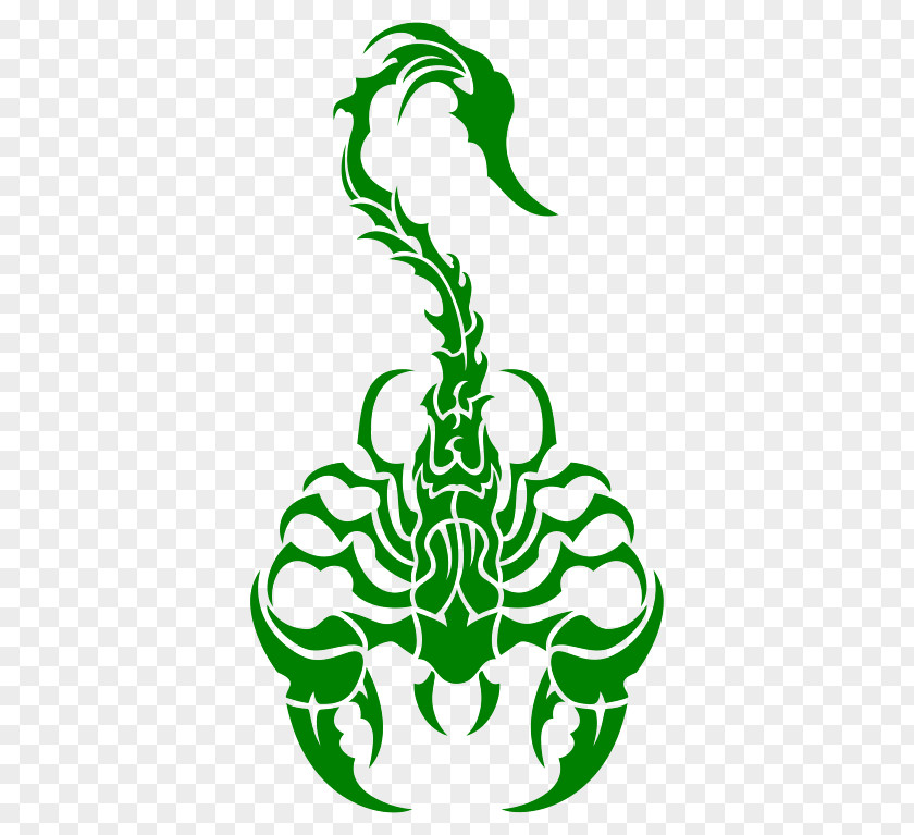 Scorpion Drawing Best Of Scorpions Clip Art Vector Graphics PNG