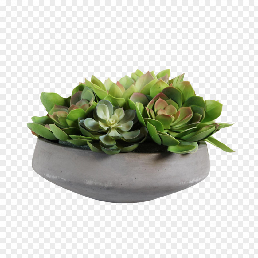 Succulent Watercolor Floral Design Artificial Flower Floristry Flowerpot PNG