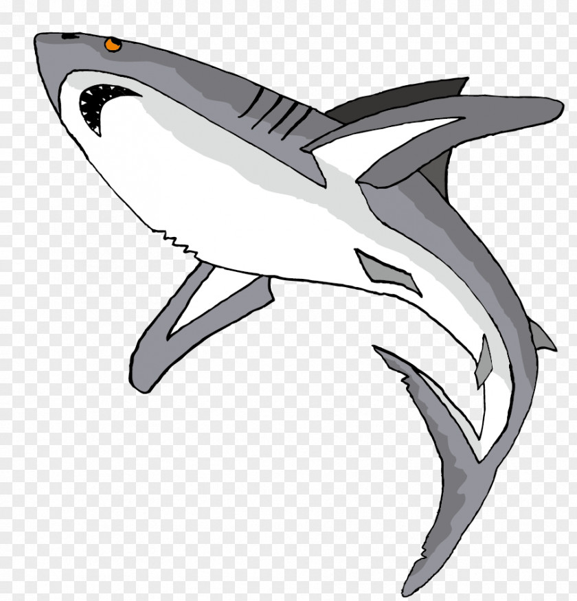Vector Great Whales Material Shark Fish Drawing Clip Art PNG
