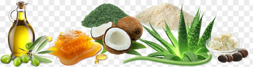 Vegetable Ingredient Natural Skin Care Vegetarian Cuisine PNG