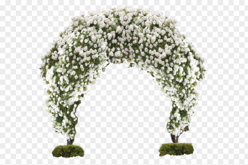 White Flower Gate Arch Fundal PNG