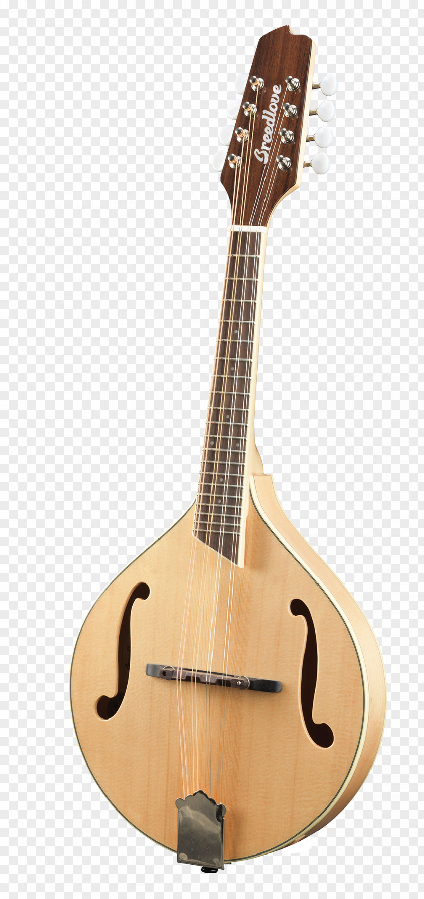 Acoustic Guitar Tiple Mandolin Cuatro Cavaquinho PNG