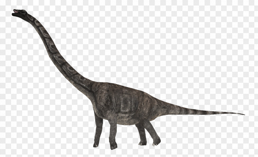 Cat Jurassic Park: Operation Genesis Velociraptor Dinosaur Kentrosaurus PNG