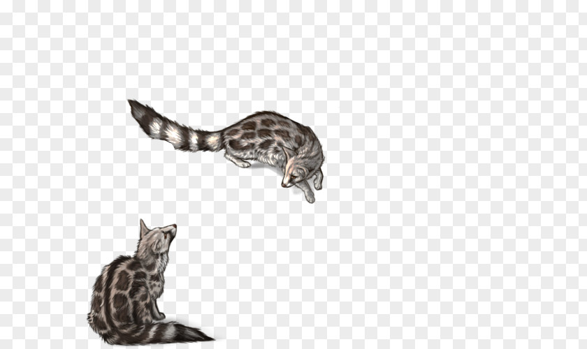 Cat Reptile Tail Wildlife PNG