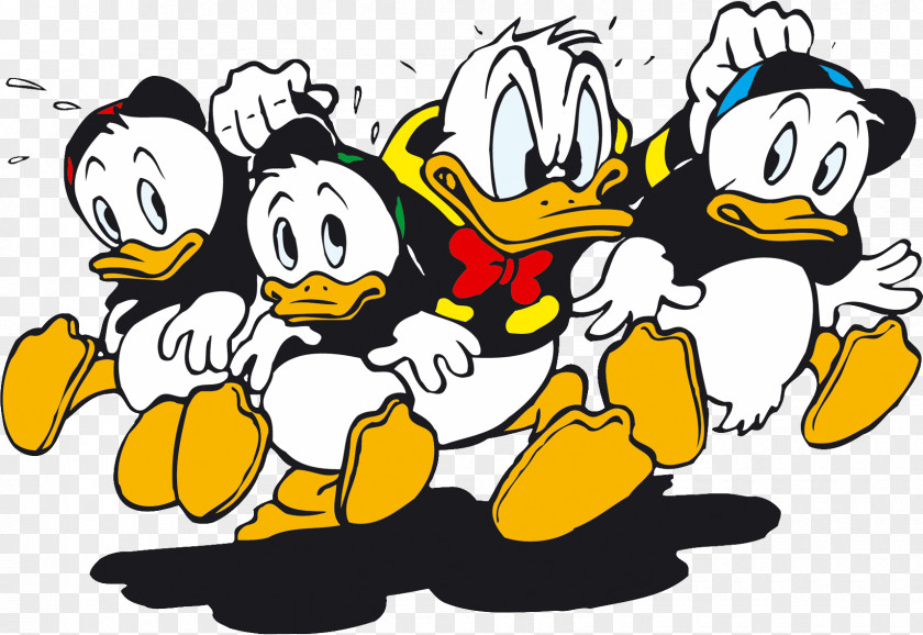 Donald Duck Huey, Dewey And Louie Daisy Scrooge McDuck Mickey Mouse PNG