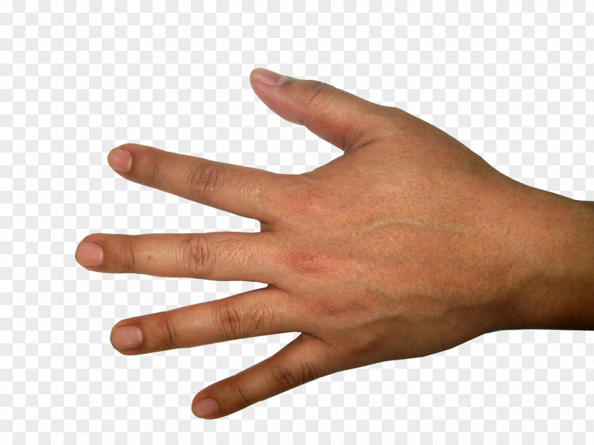 Hands Hand Finger Clip Art PNG