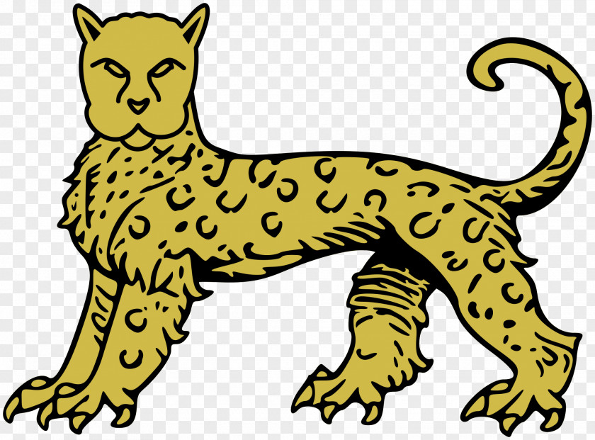 Leopard Whiskers Jaguar Cheetah Felidae PNG