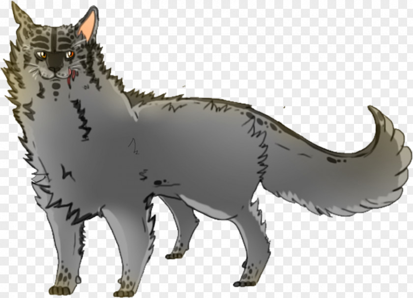 Shark Whiskers Gray Wolf Cat Warriors PNG