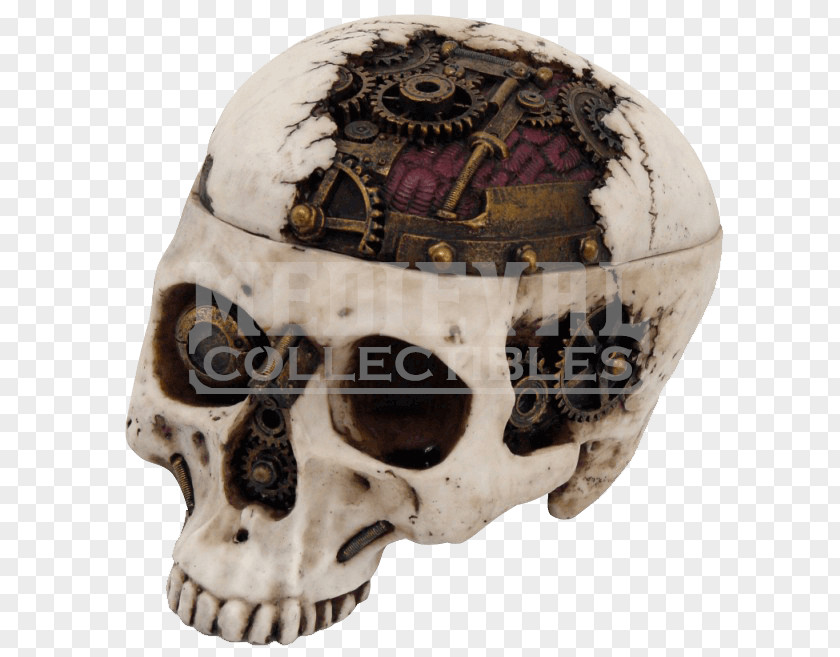 Skulls Punk Skull Gear Steampunk Goth Subculture Skeleton PNG