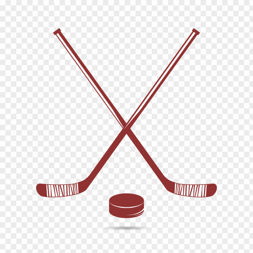 Vector Hockey Ice Puck Illustration PNG