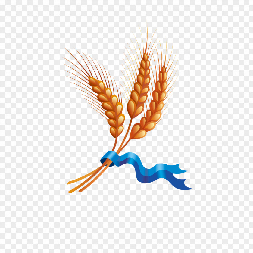 Wheat Ear Harvest Cereal PNG