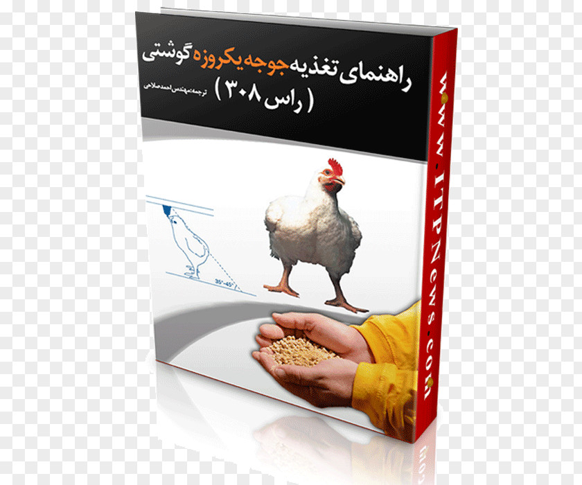 Chicken Broiler Meat Food Nutrition PNG