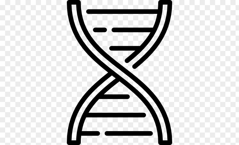 Dna Structure Human Biology Genetics Science DNA PNG