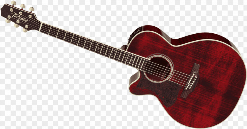 Acoustic Guitar Acoustic-electric Tiple Takamine Guitars PNG
