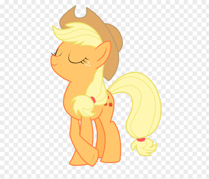 Applejack Rainbow Dash Fluttershy Pinkie Pie Twilight Sparkle PNG