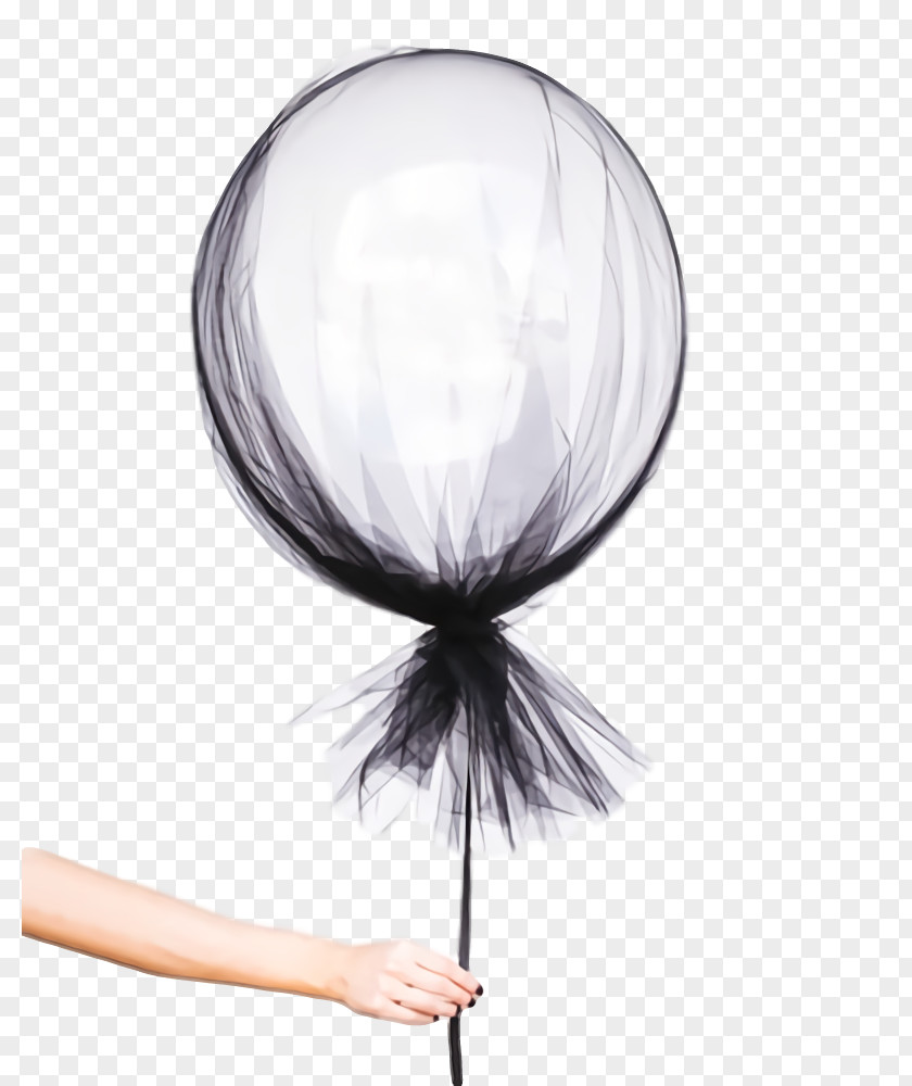 Feather White PNG