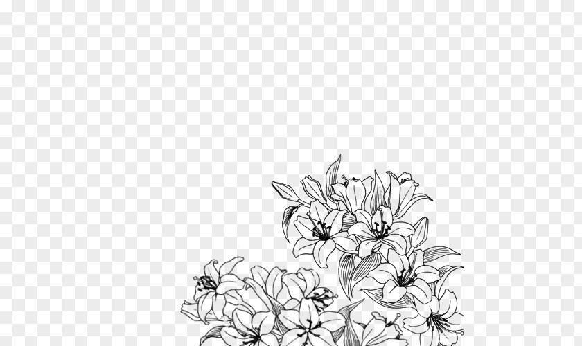 Flower Floral Design Black And White PNG