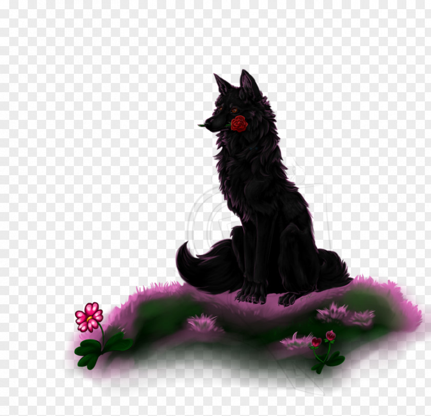 Kitten Black Cat Whiskers Paw PNG