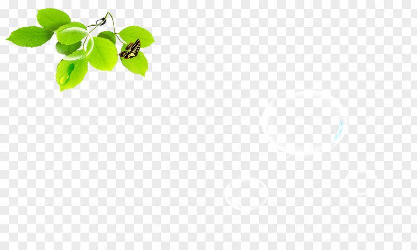 Leaves Green Leaf Pattern PNG