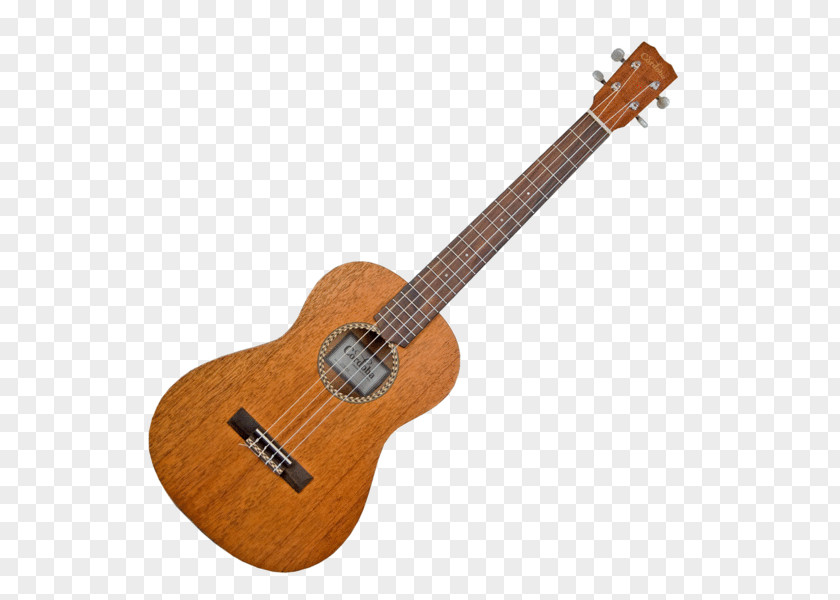 Musical Instruments Ukulele Concert Guitar PNG