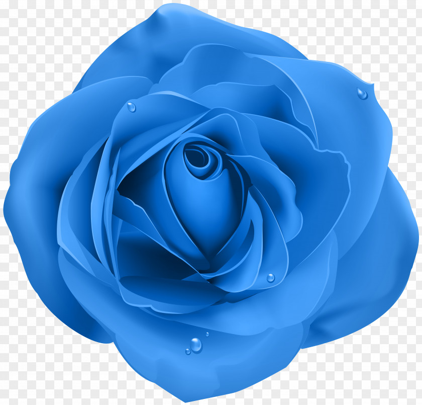 Rose Blue Transparent Clip Art PNG