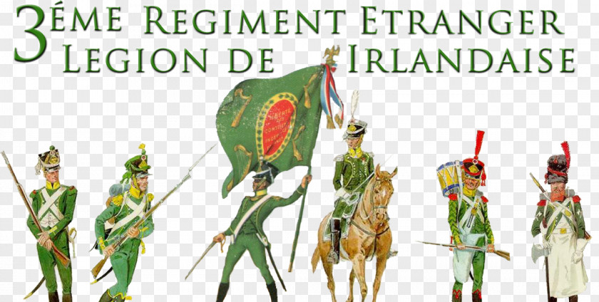 British Army Ranks Napoleonic Wars First French Empire Ireland Battle Of Fuentes De Oñoro Irish Legion PNG