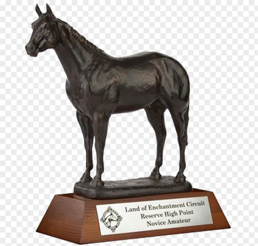 Bronze Trophy Stallion Shire Horse Baloubet Du Rouet Akhal-Teke Mare PNG