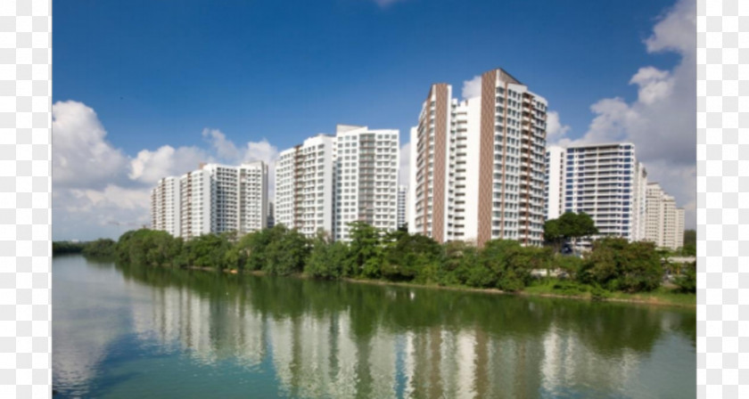 Hougang Capeview (Coffee Shop) Housing And Development Board Build To Order Public HousingHougang NTUC Foodfare PNG