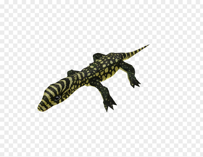 Lizard Heloderma Zoo Tycoon 2 Nile Monitor Reptile PNG