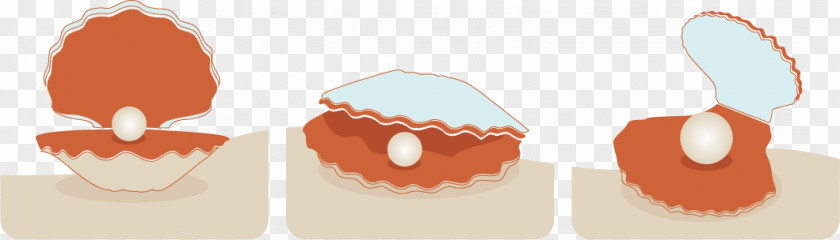 Vector Shell Seashell Download Euclidean PNG