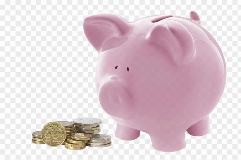 Bank Piggy Stock Photography Money Free PNG