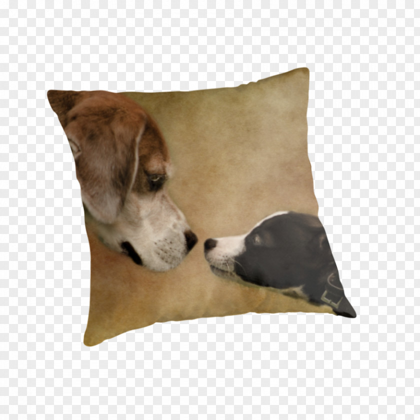 Dog Nose Breed Whippet Italian Greyhound Pillow PNG
