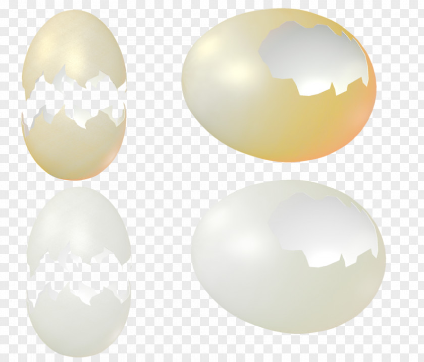 Eggshell Download PNG