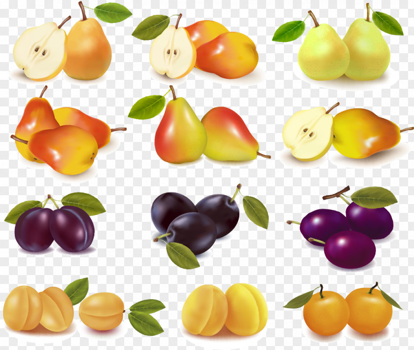 Fresh Fruits Pears Vector Material Fruit Illustration PNG