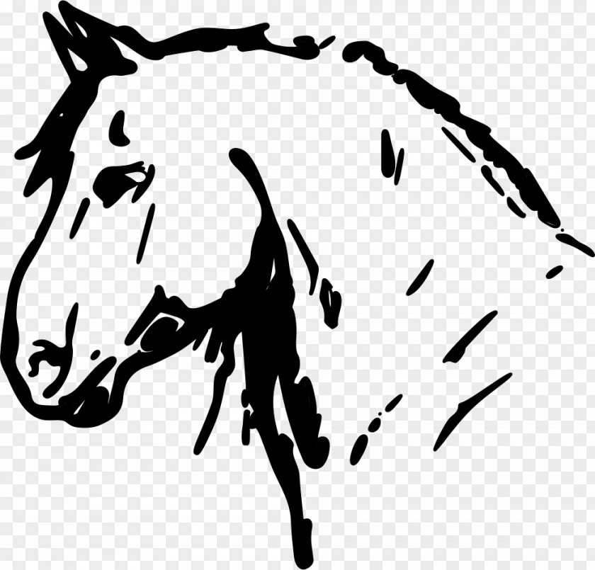 Horse Drawing Vector Graphics Photography PNG