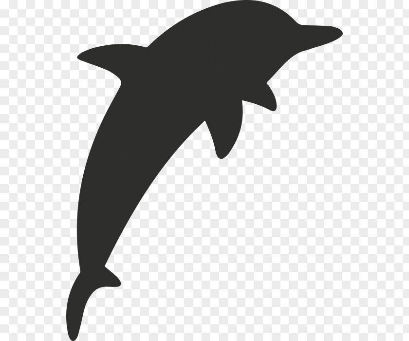 Dolphin Tucuxi Sticker Common Bottlenose Wall Decal Paper PNG