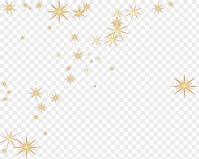 Light Star Christmas Poinsettia Digital Image PNG