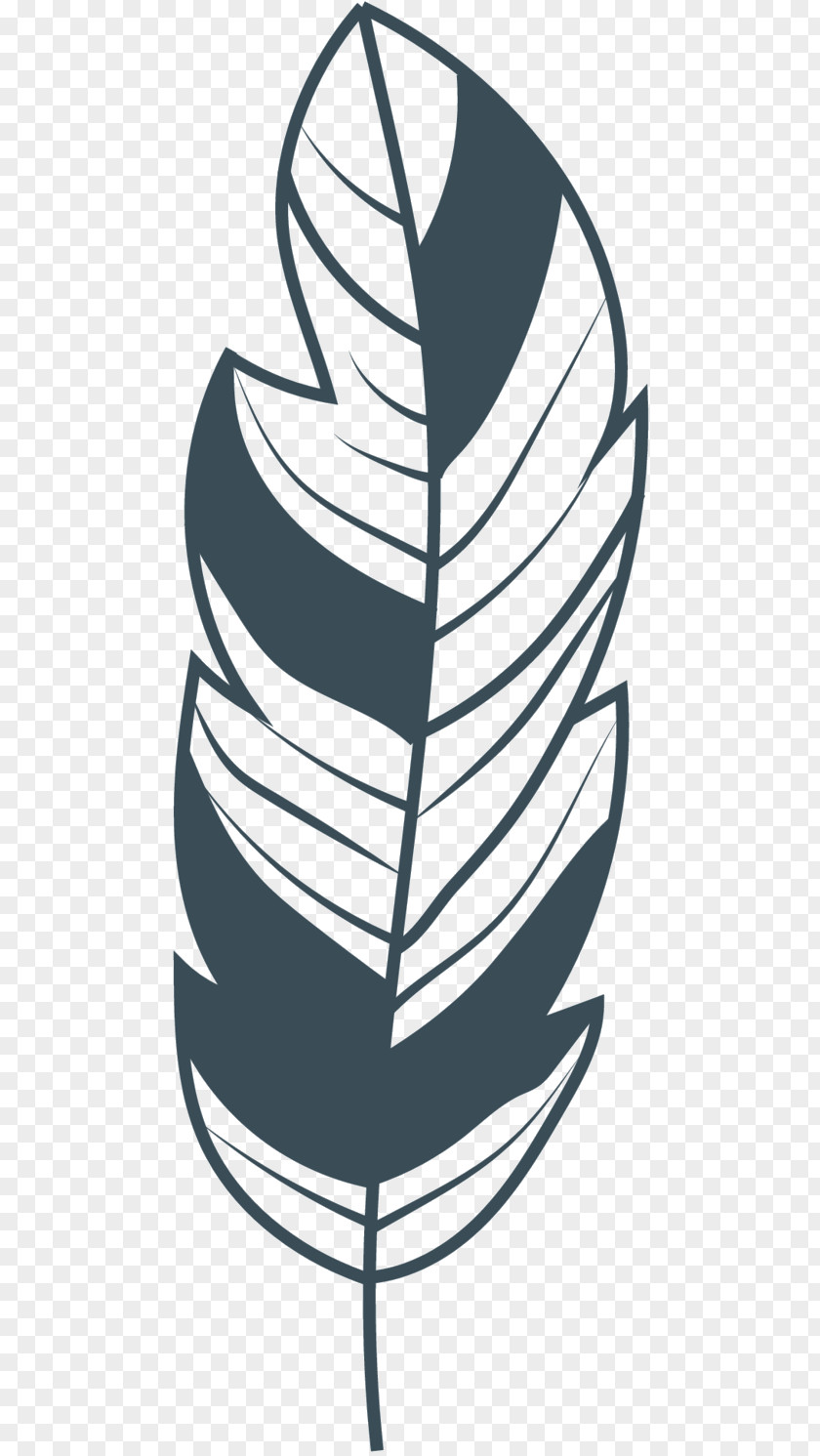 M Clip Art Line Design Leaf Black & White PNG