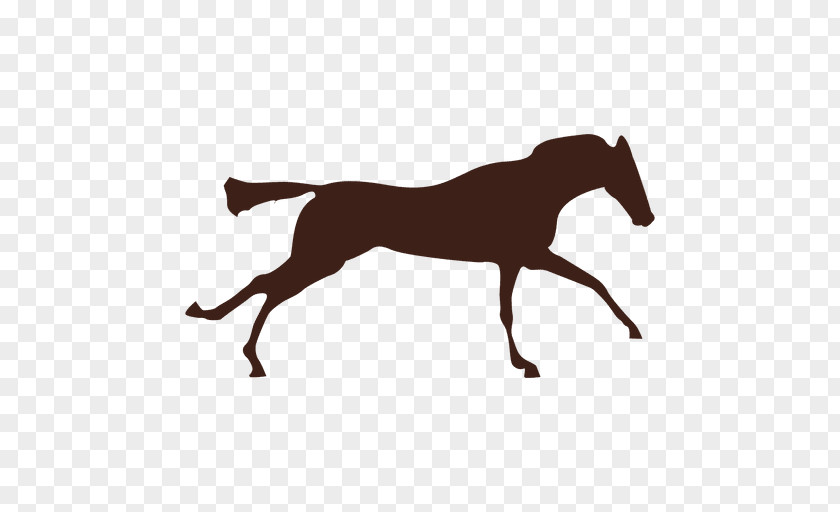 Mustang Gallop Motion Pony Foal PNG